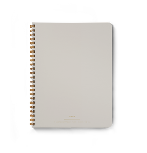 Dual Notebook: Mist